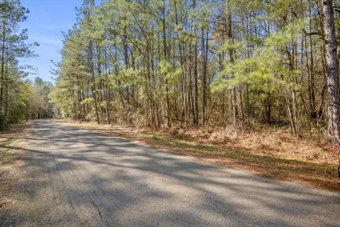 13681 Cr 201 Loop Lane