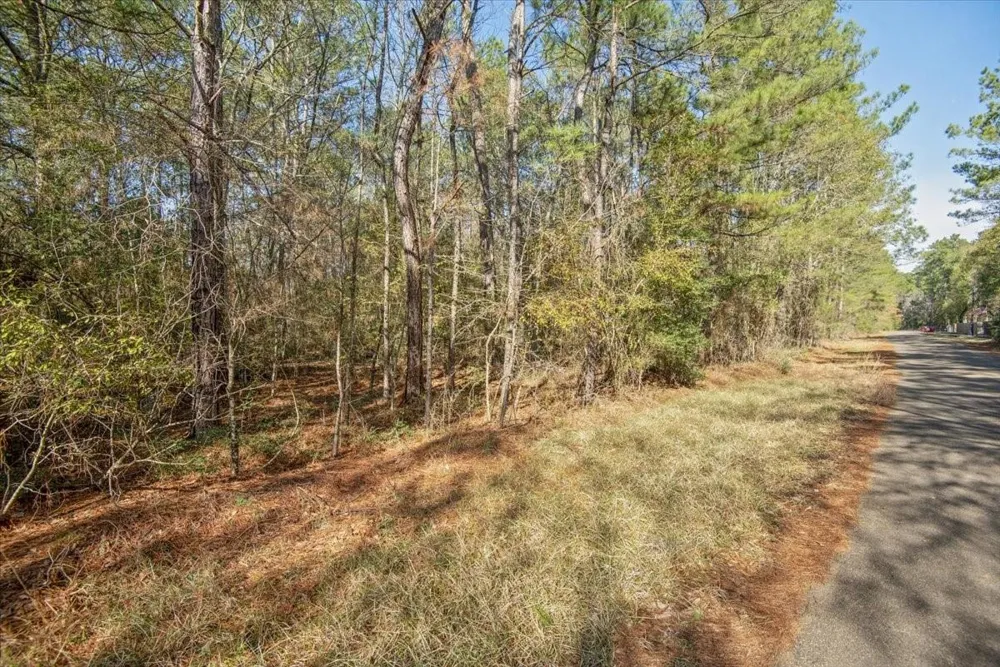 13681 Cr 201 Loop Lane Plantersville, TX 77363
