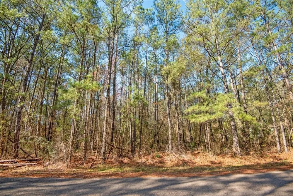13681 Cr 201 Loop Lane Plantersville, TX 77363