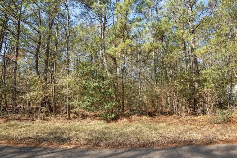 13681 Cr 201 Loop Lane Plantersville, TX 77363