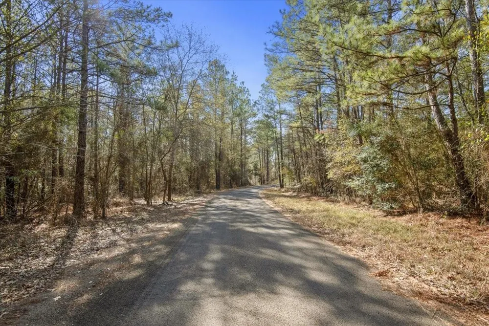 13681 Cr 201 Loop Lane Plantersville, TX 77363
