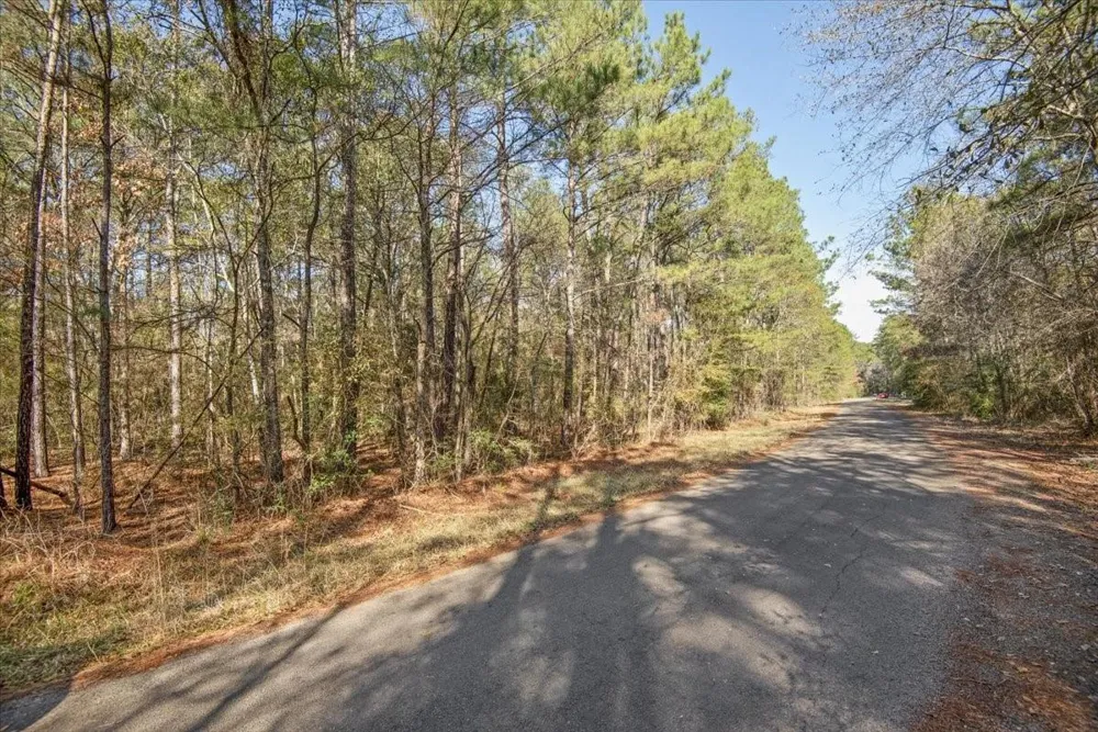 13681 Cr 201 Loop Lane Plantersville, TX 77363