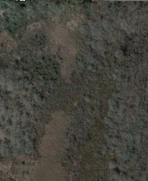 Ranch Road Drive Hilltop Lakes, TX 77871