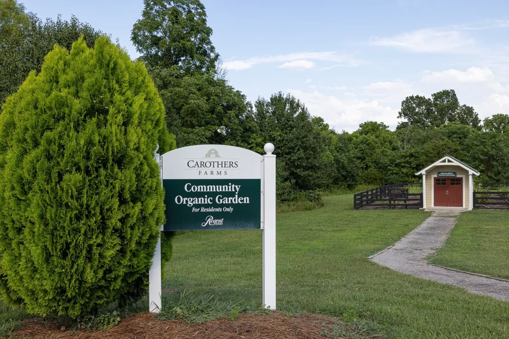 303 Crows Nest Aly Nolensville, TN 37135