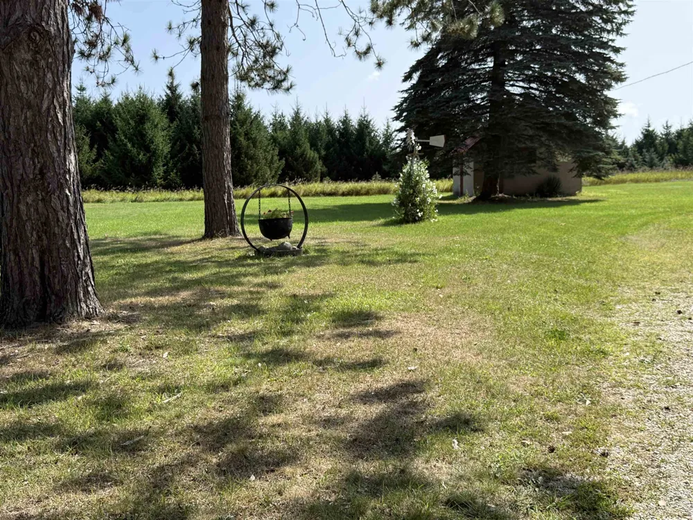9027 S Young Road Aetna Township, MI 49632