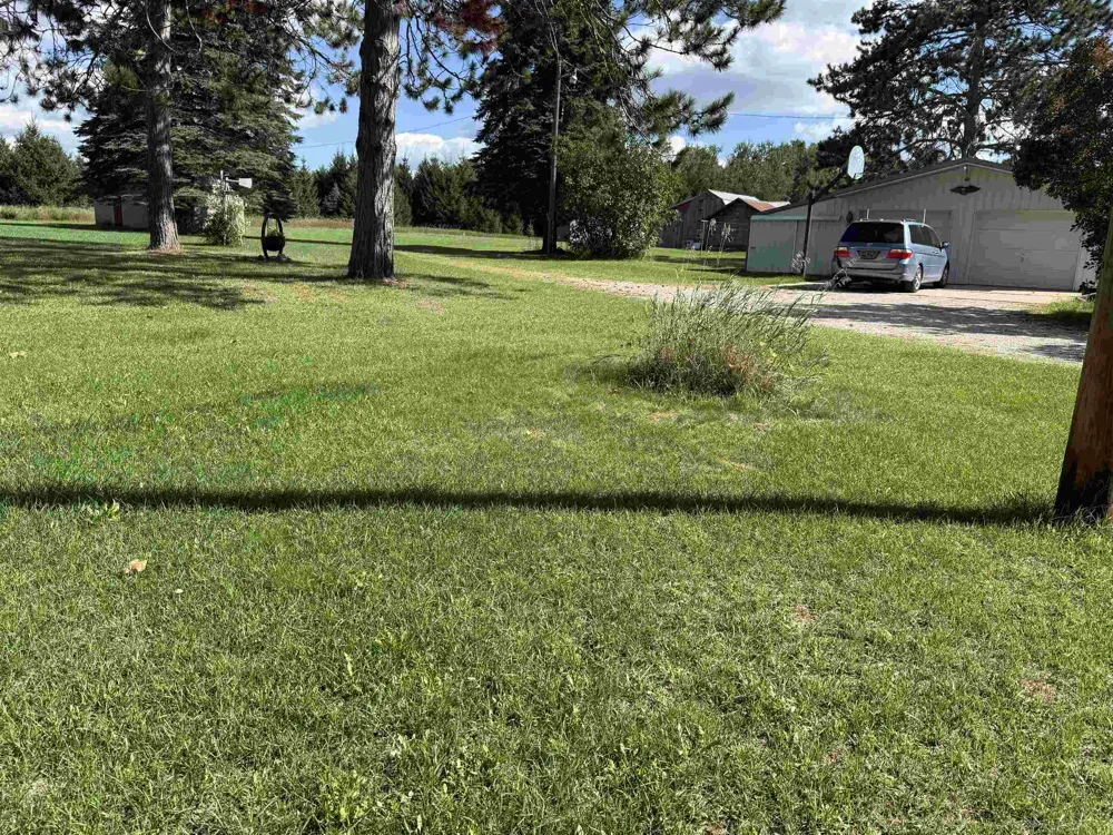 9027 S Young Road Aetna Township, MI 49632