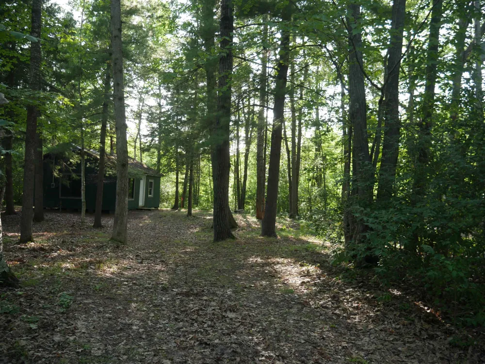 8167 Beech Plainfield Township, MI 48739