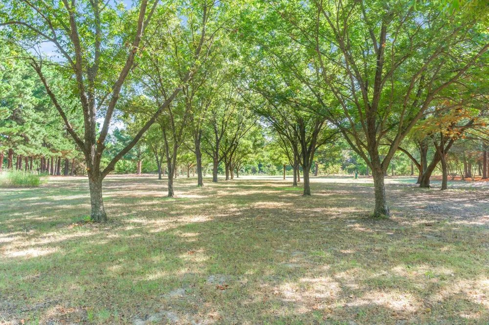 540 Vz County Road 3207 Edgewood, TX 75117