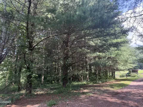 620 County Road 655