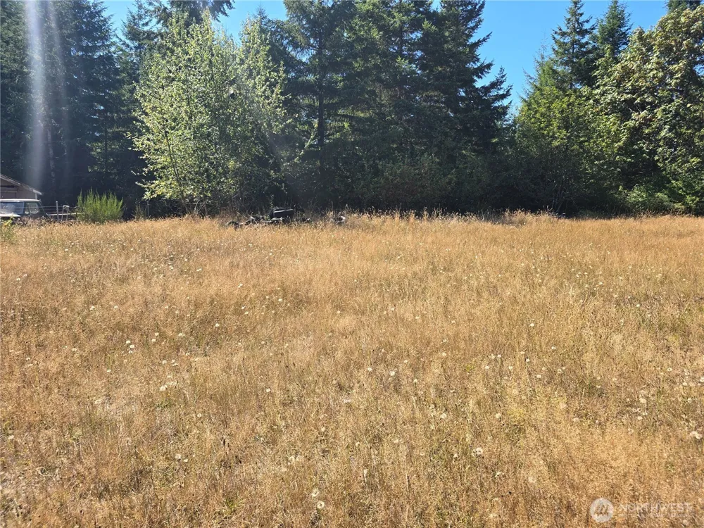 100 W Loganberry Court Elma, WA 98541