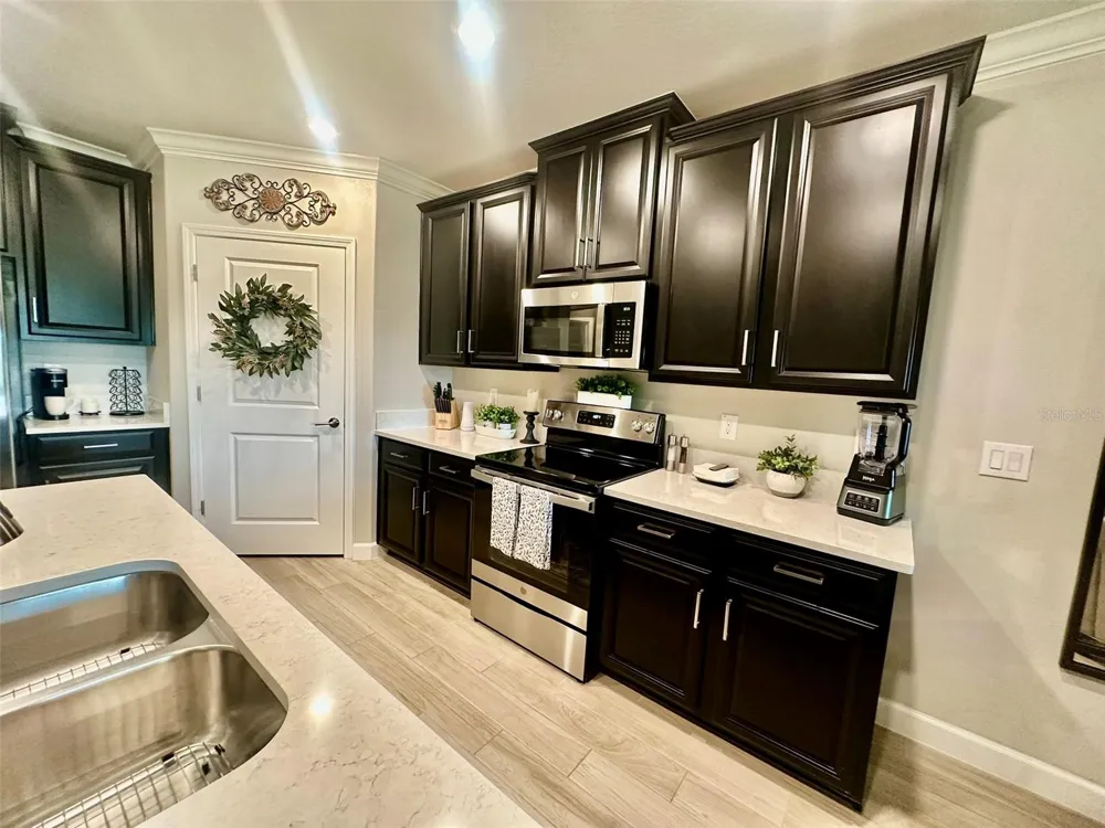 10442 ECHO DOCK LOOP San Antonio, FL 33576