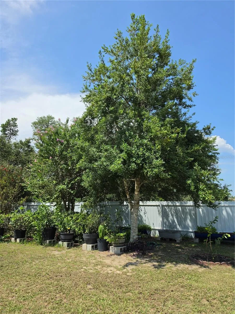 3910 SW 103RD STREET ROAD ocala, FL 34476