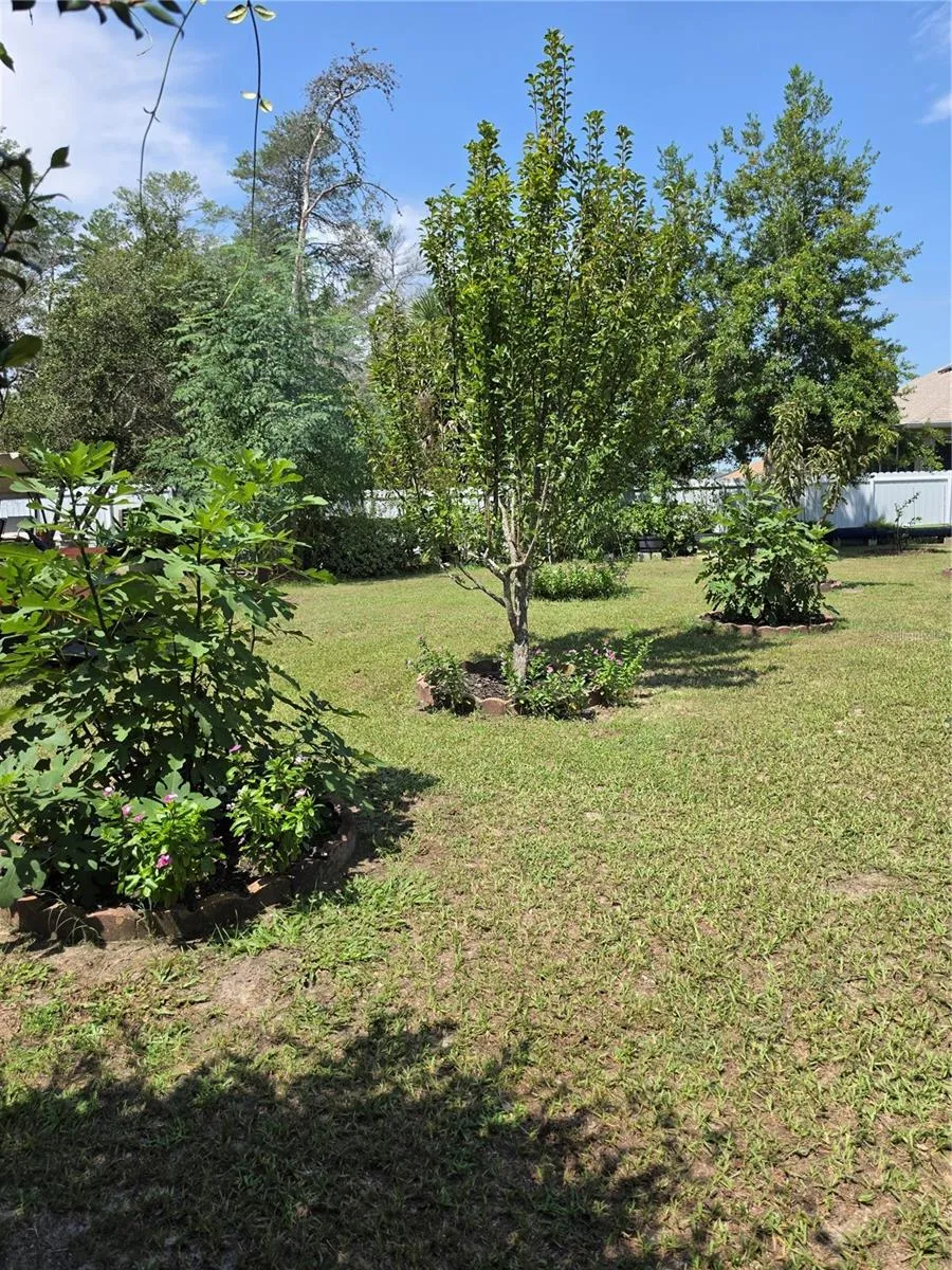 3910 SW 103RD STREET ROAD ocala, FL 34476