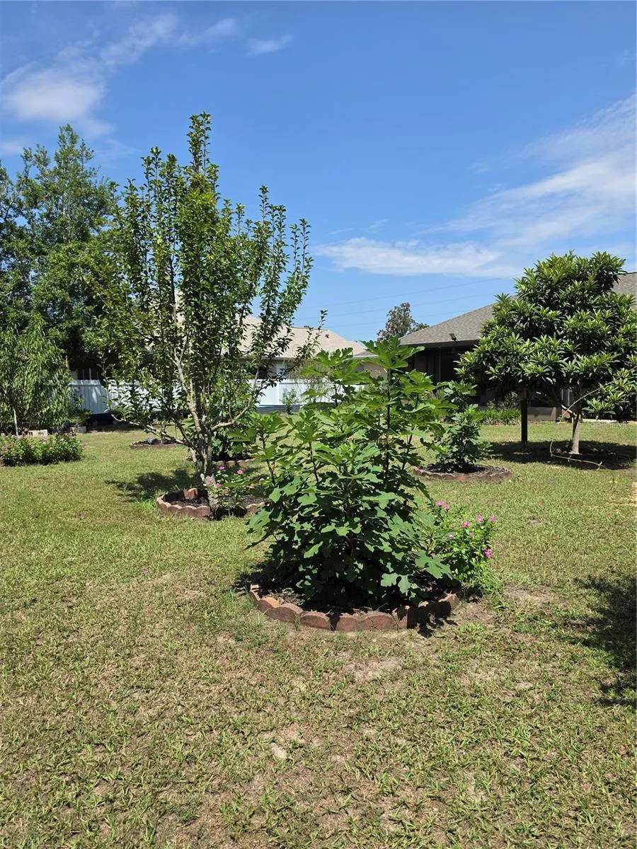 3910 SW 103RD STREET ROAD ocala, FL 34476