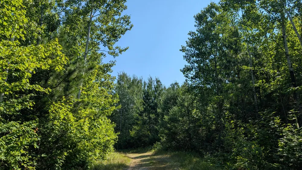 TBD Kennedy Road Cook, MN 55723