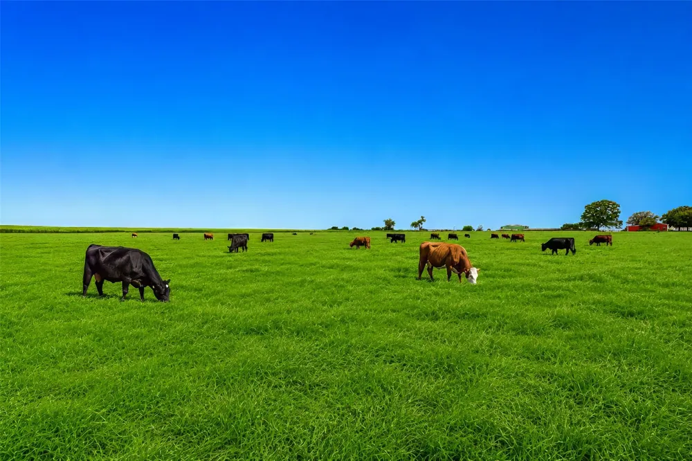 County Road 204 Road Valley View, TX 76272
