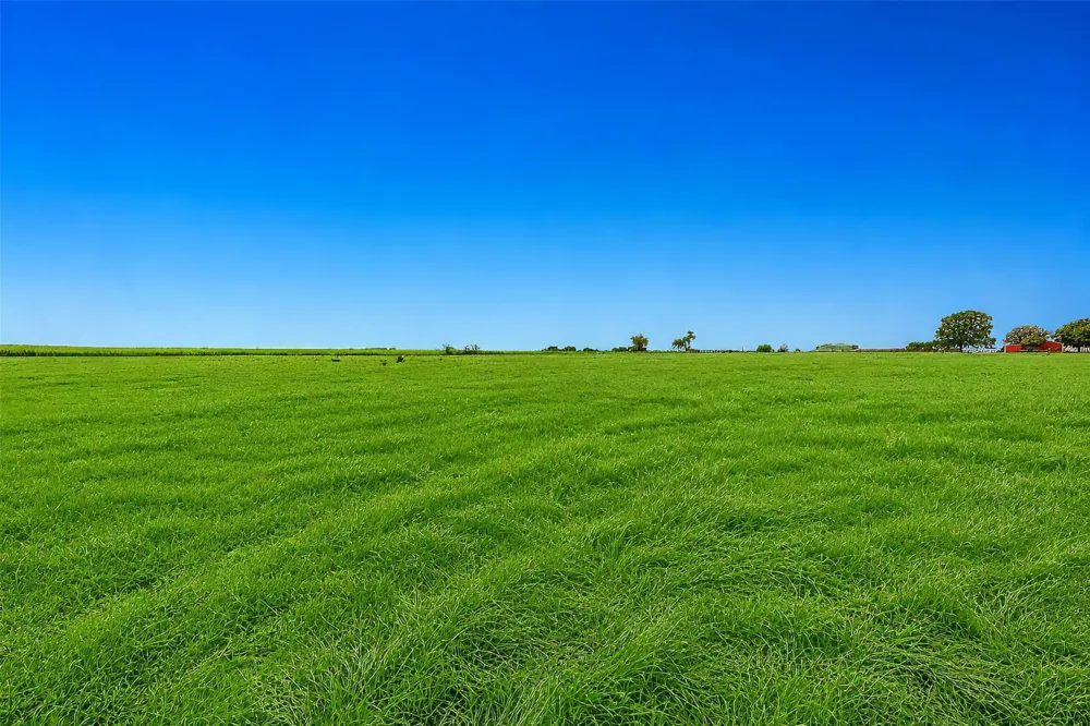 County Road 204 Road Valley View, TX 76272