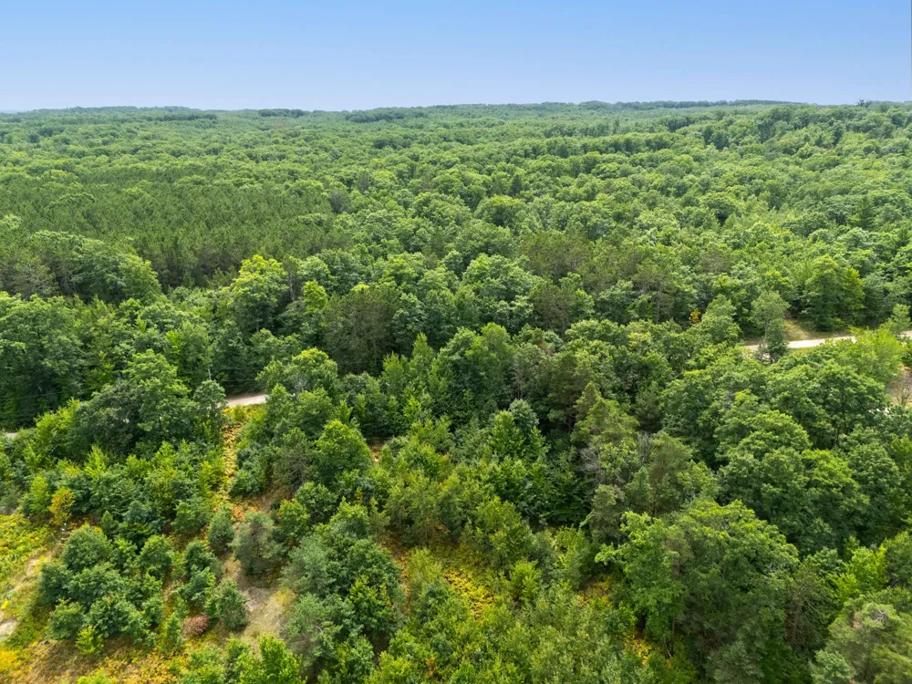 W Falmouth Road McBain, MI 49657