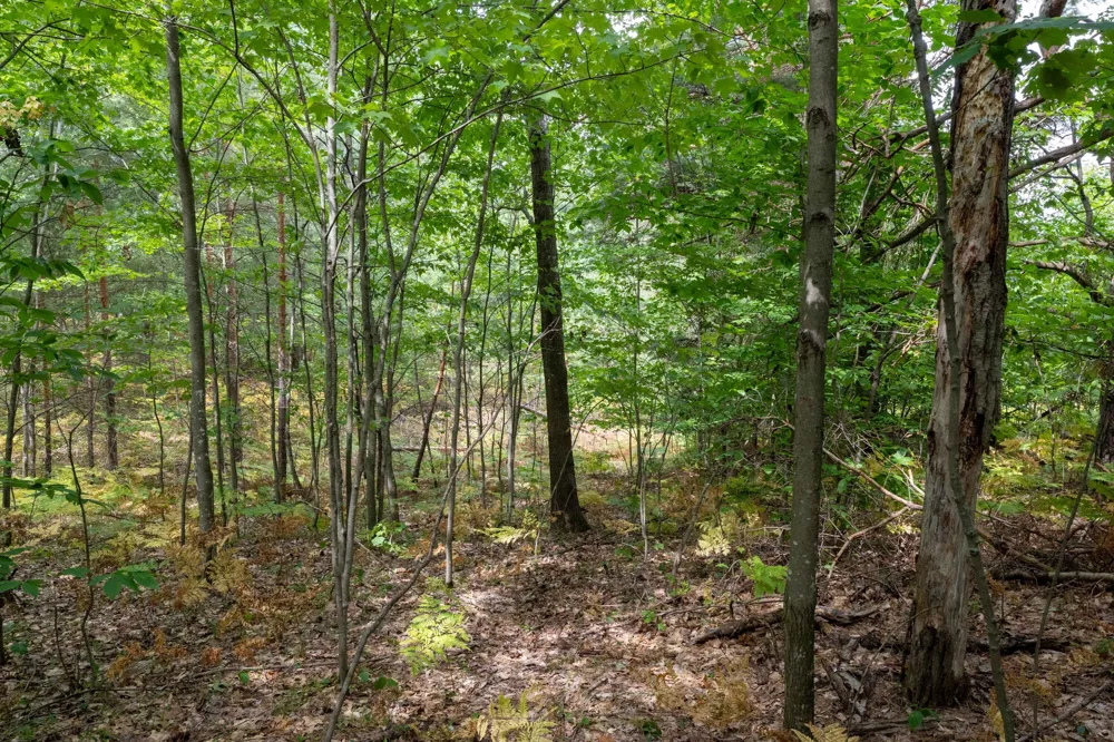 W Falmouth Road McBain, MI 49657