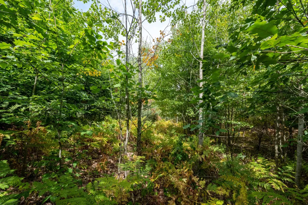 W Falmouth Road McBain, MI 49657