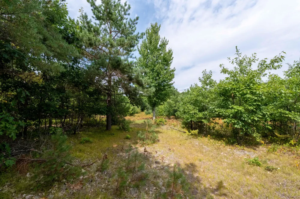 W Falmouth Road McBain, MI 49657