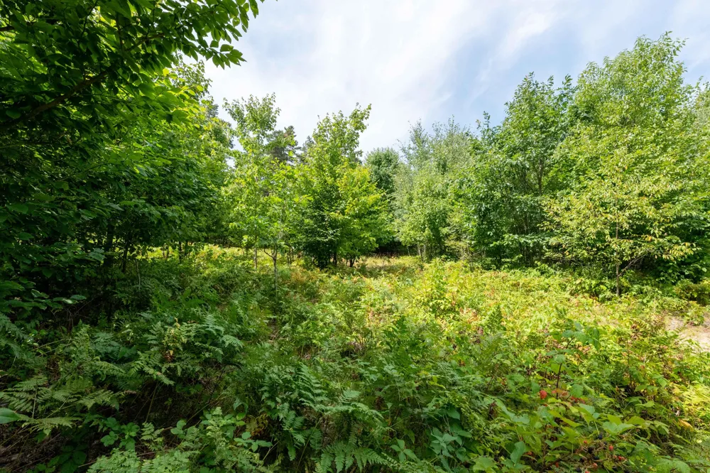 W Falmouth Road McBain, MI 49657