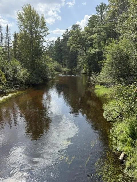 2565 M-18 Roscommon, MI 48653