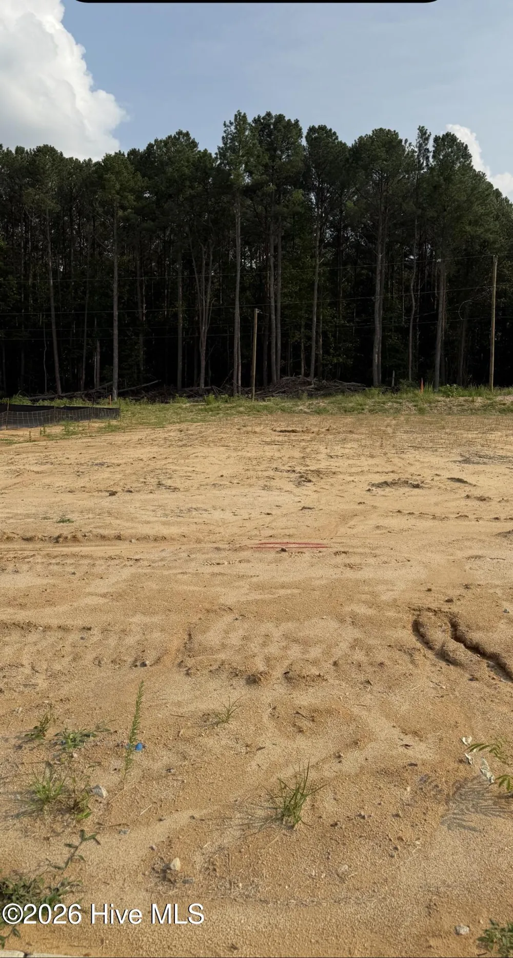 135 White Bark Avenue #Lot 15 Rocky Mount, NC 27804