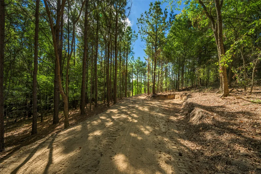 256 Woodsman Broken Bow, OK 74728