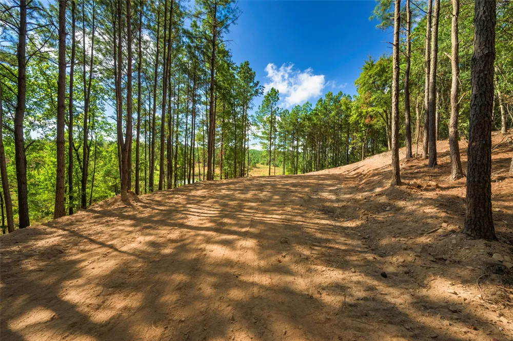 256 Woodsman Broken Bow, OK 74728