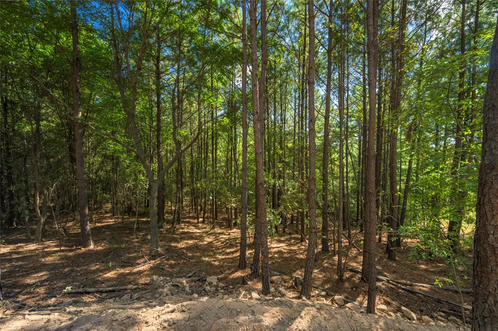 256 Woodsman Broken Bow, OK 74728