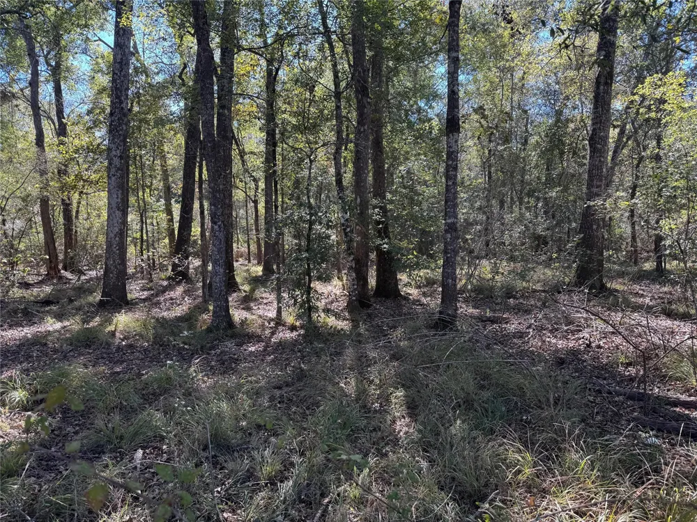 401 County Road 401 Dayton, TX 77535