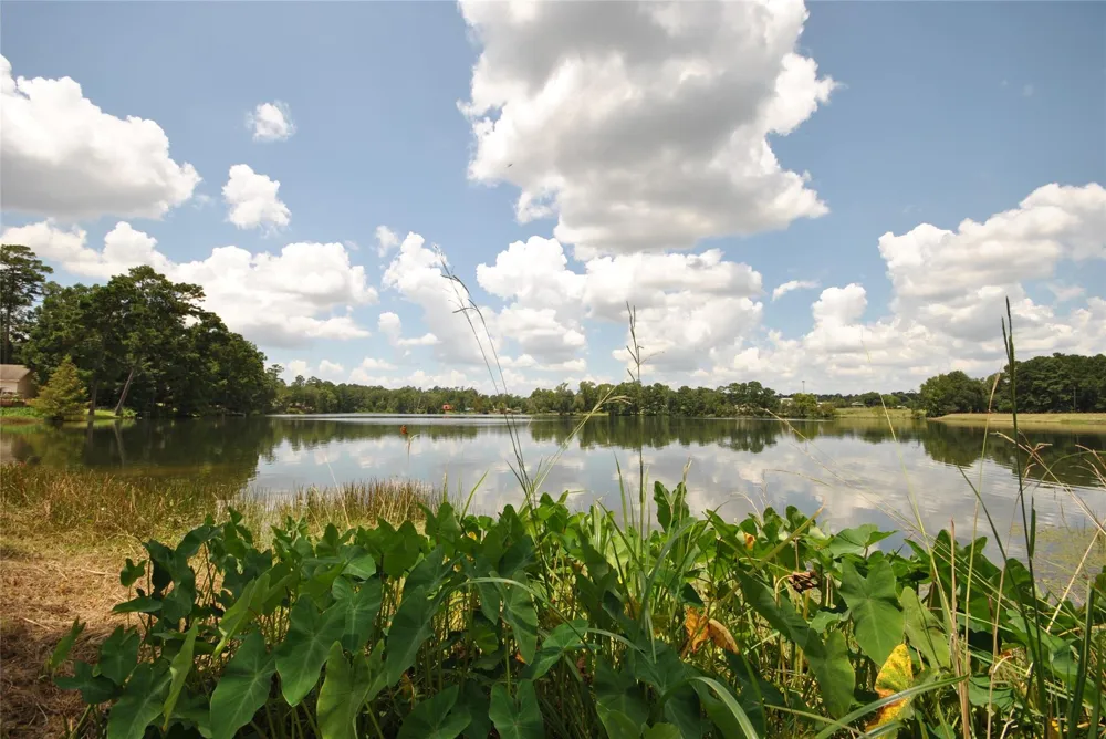12960 Royal Shores Drive Conroe, TX 77303