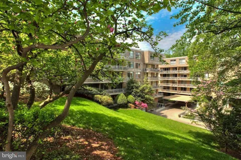 4100 CATHEDRAL AVENUE NW #704