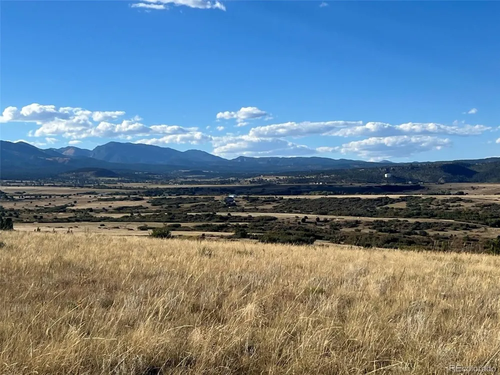 Overlook Drive Colorado City, CO 81019