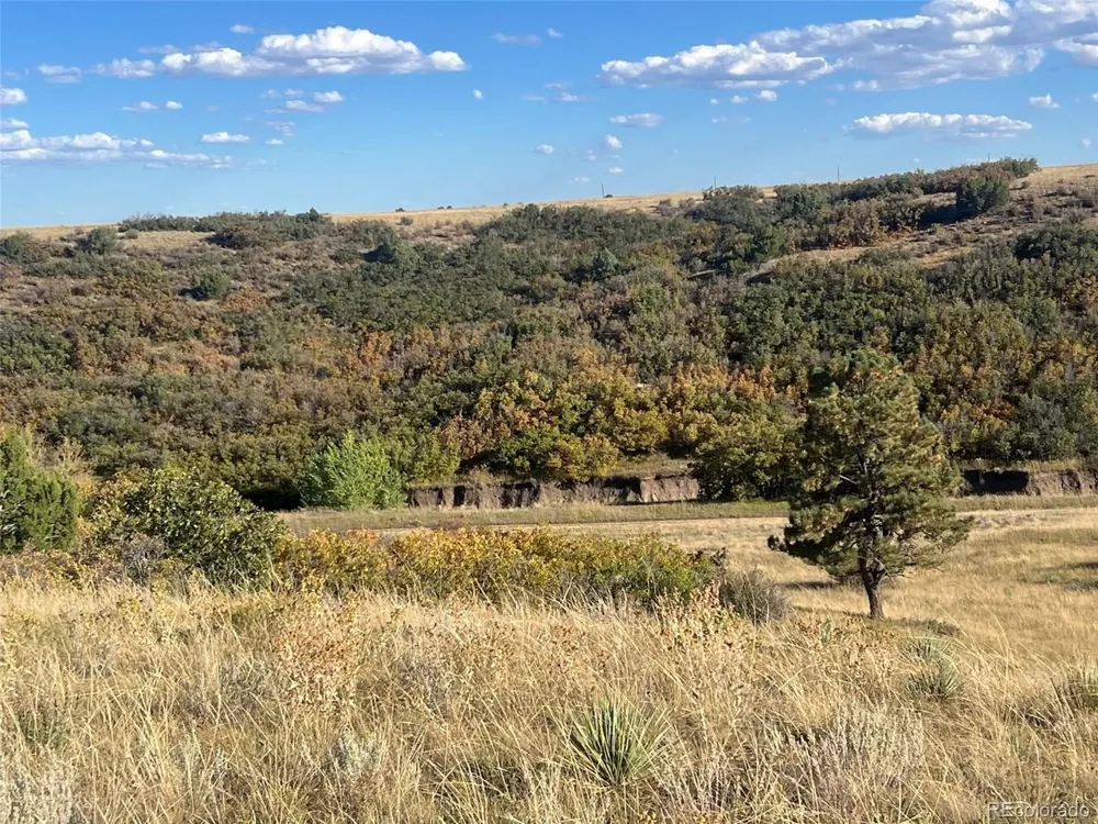Overlook Drive Colorado City, CO 81019