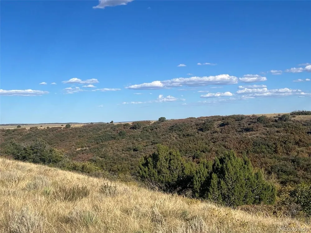 Overlook Drive Colorado City, CO 81019