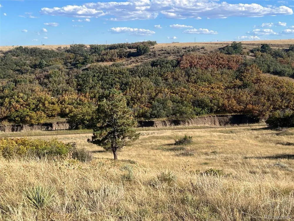 Overlook Drive Colorado City, CO 81019