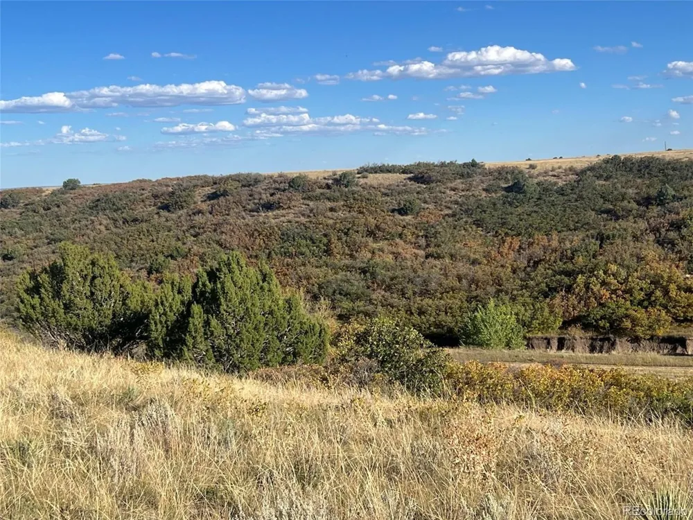 Overlook Drive Colorado City, CO 81019