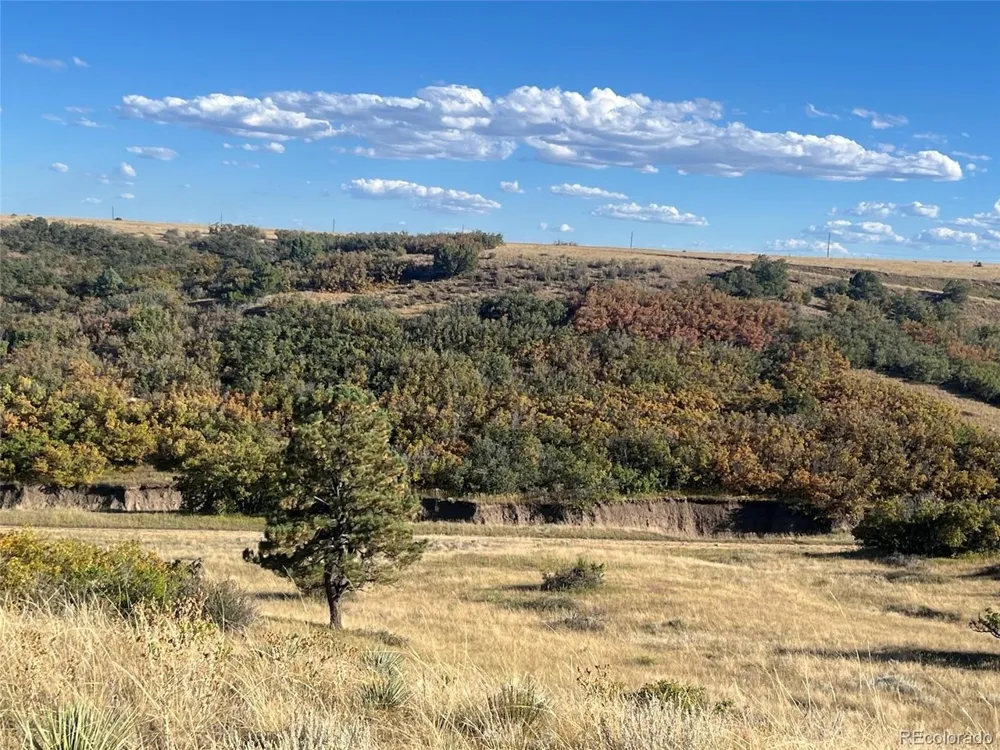 Overlook Drive Colorado City, CO 81019