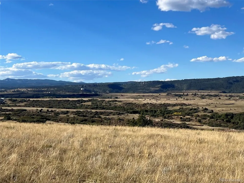 Overlook Drive Colorado City, CO 81019