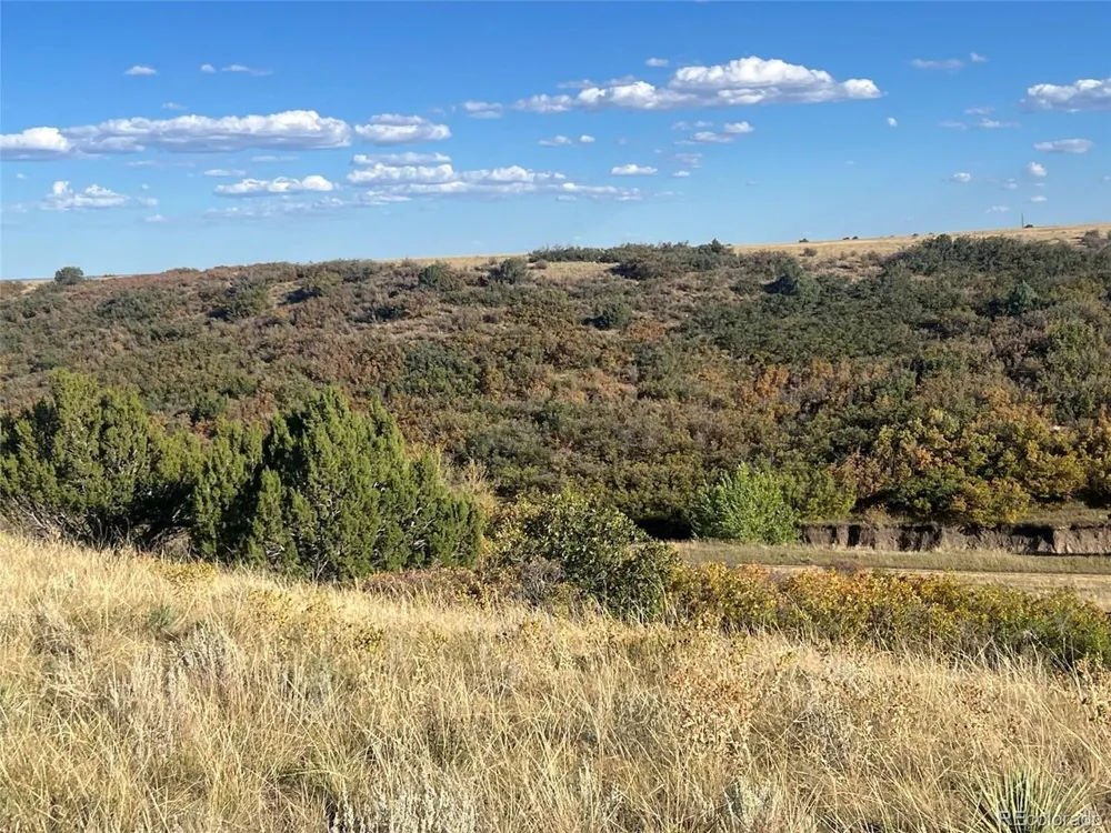 Overlook Drive Colorado City, CO 81019