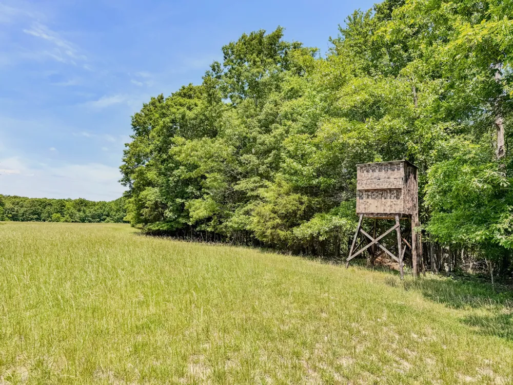 0 Johnson Rd Lutts, TN 38471