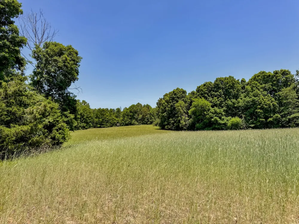 0 Johnson Rd Lutts, TN 38471