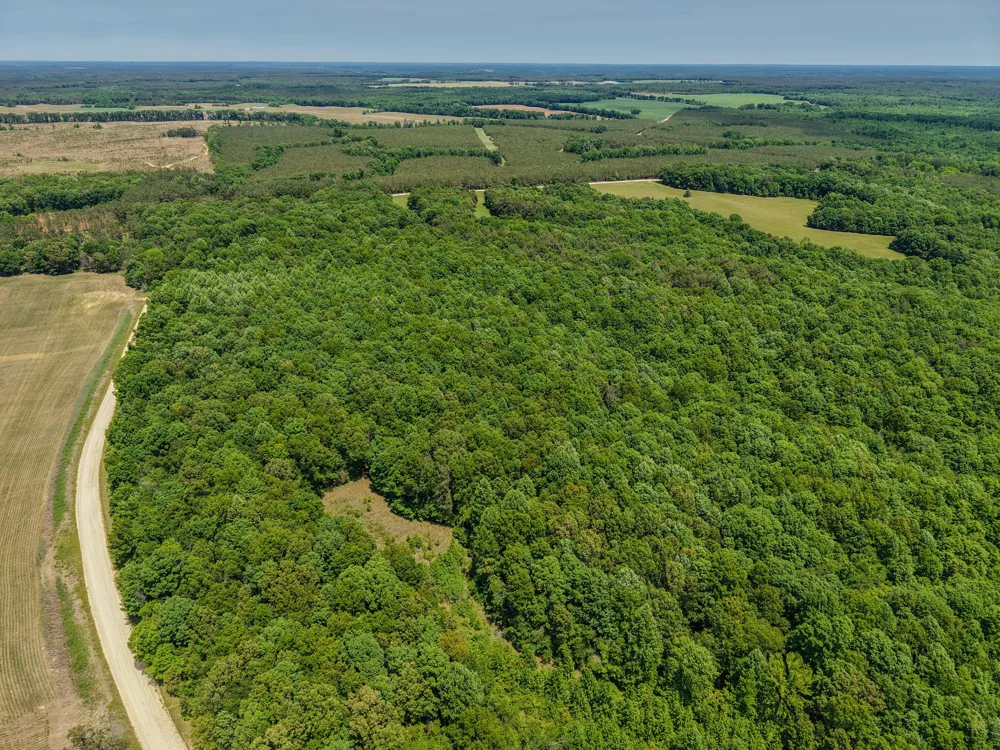 0 Johnson Rd Lutts, TN 38471