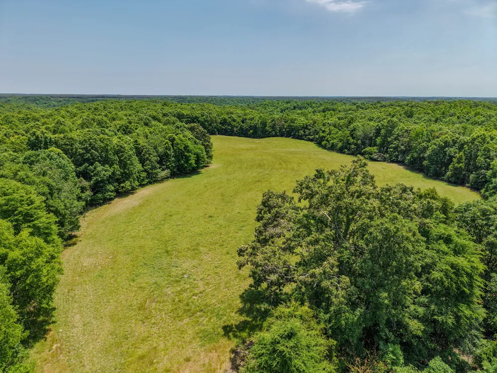 0 Johnson Rd Lutts, TN 38471