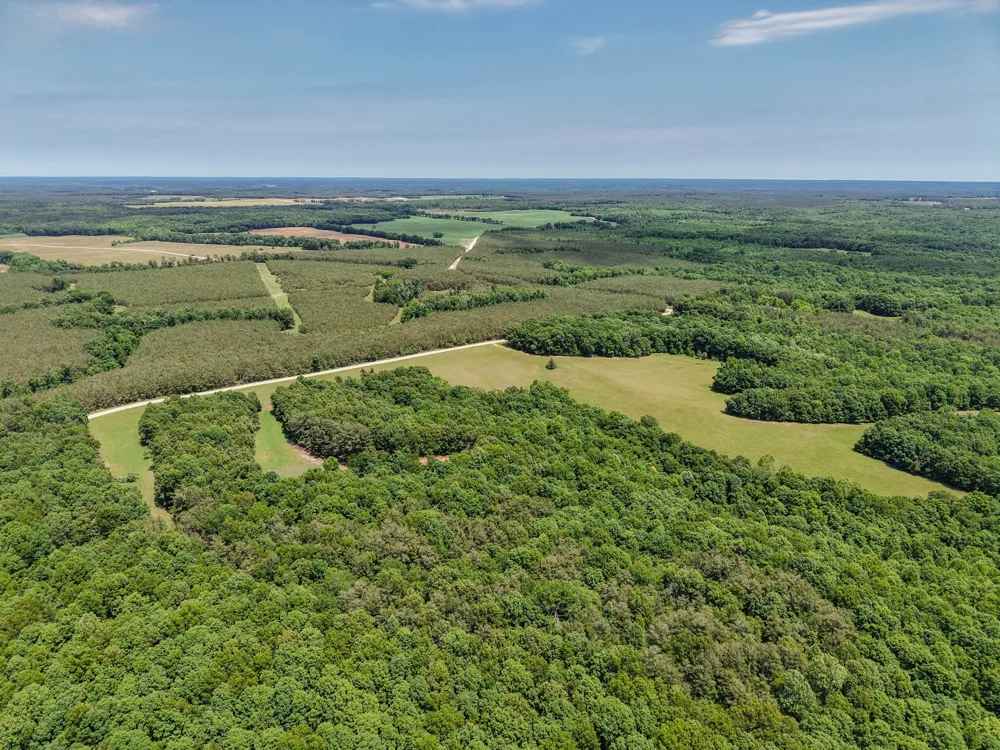 0 Johnson Rd Lutts, TN 38471