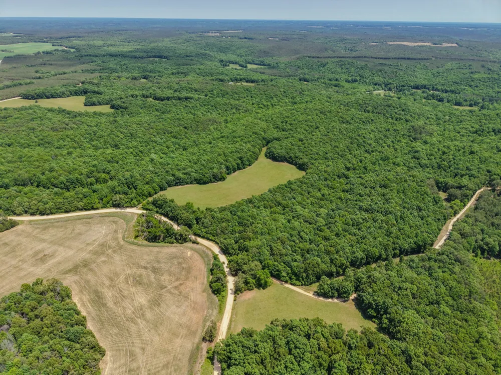 0 Johnson Rd Lutts, TN 38471
