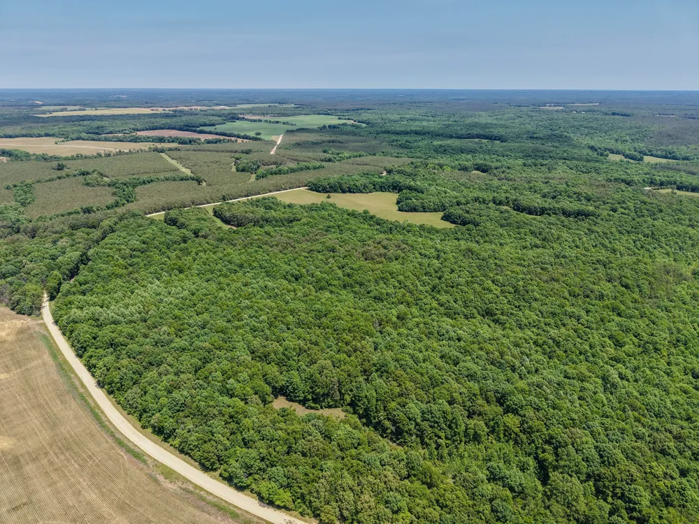 0 Johnson Rd Lutts, TN 38471