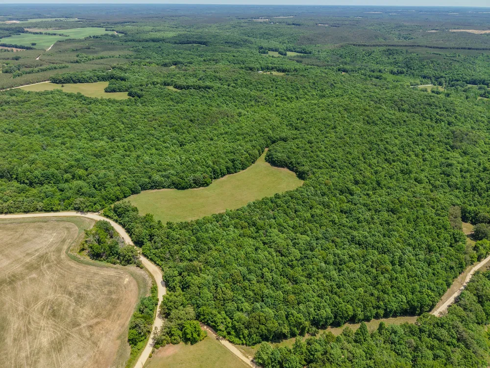 0 Johnson Rd Lutts, TN 38471